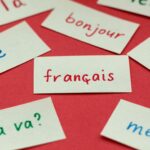 French words and phrases on index cards.